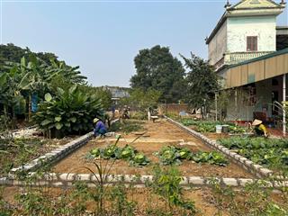 Bán đất trục chính đồng trạng 125m2 full đất ở, giá 43tr/m2