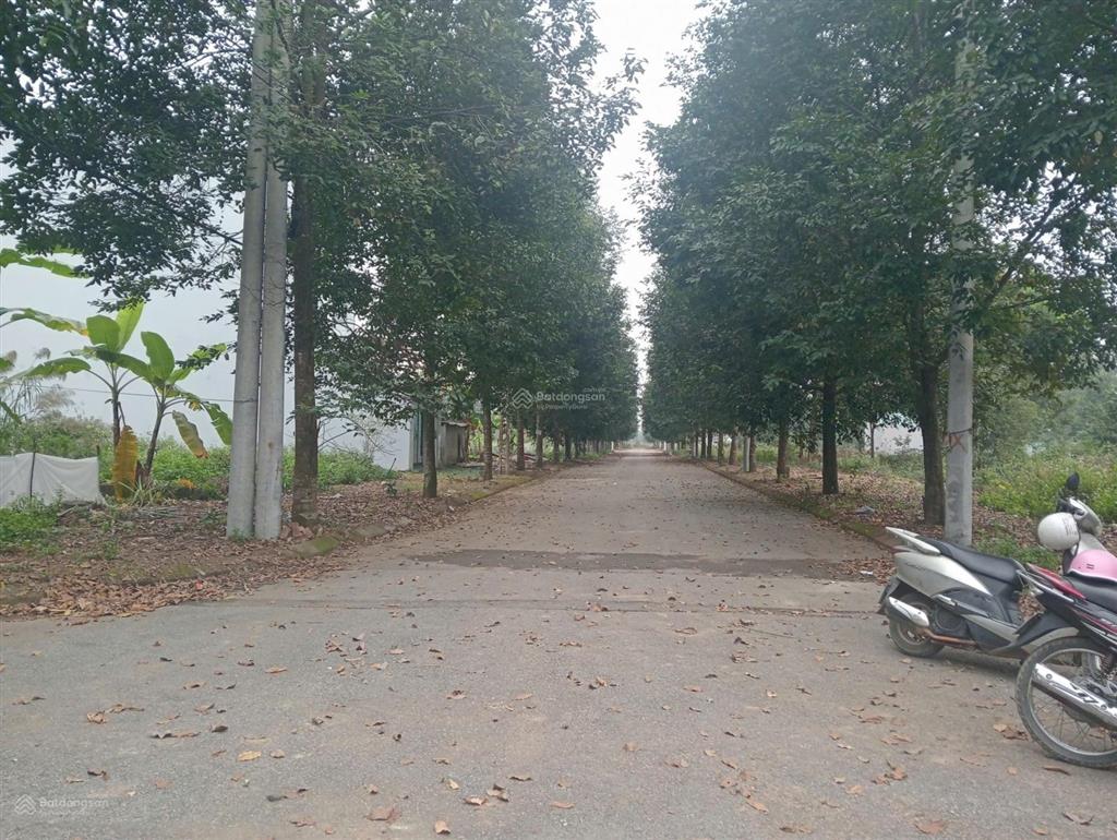 Bán gấp 75m2 tdc đại học quốc gia. mặt tiền 5m full thổ không lỗi phong thủy