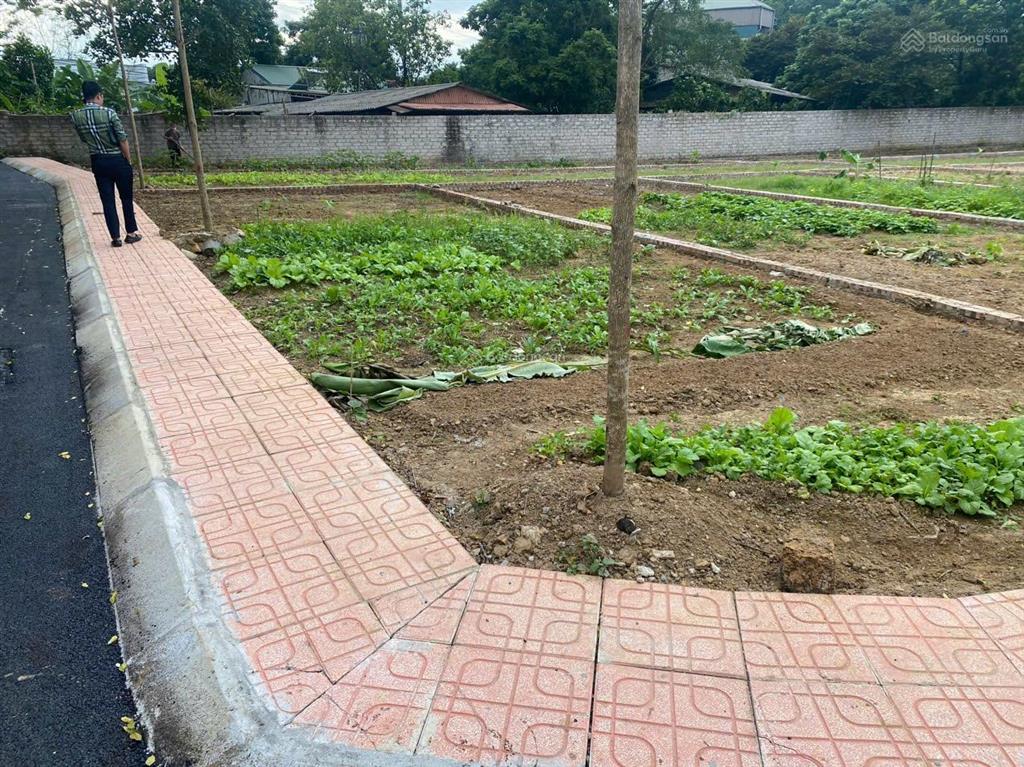 Bán gấp lô góc cực đẹp thoáng tại đoài phương giá công khai 32.5tr/m2