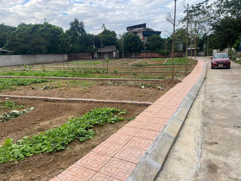 Bán gấp lô góc cực đẹp thoáng tại đoài phương giá công khai 32.5tr/m2