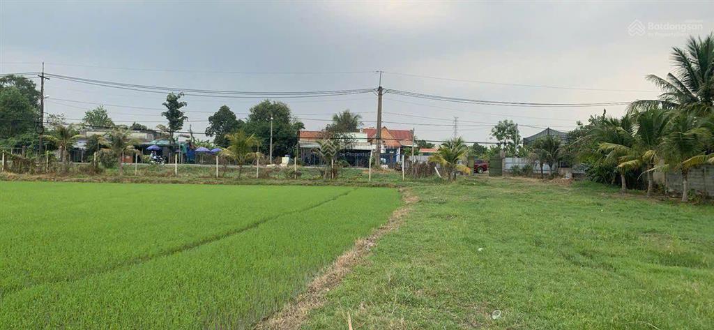 Bán đất mặt tiền tỉnh lộ 7 2 hecta, phước thạnh, củ chi