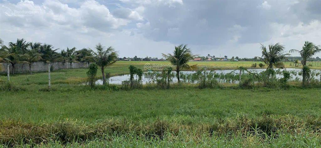 Bán đất mặt tiền tỉnh lộ 7 2 hecta, phước thạnh, củ chi