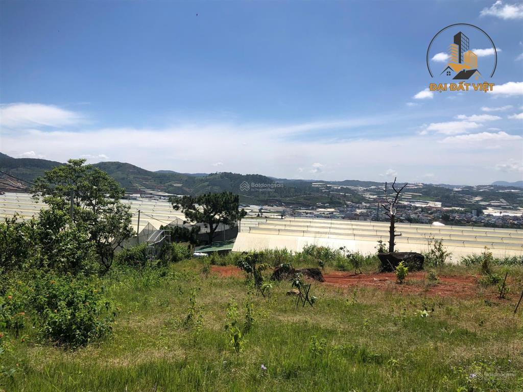 Đất view toàn cảnh thị trấn lạc dương, cơ hội sở hữu quỹ đất đẹp giá tốt