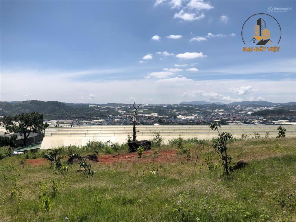 Đất view toàn cảnh thị trấn lạc dương, cơ hội sở hữu quỹ đất đẹp giá tốt