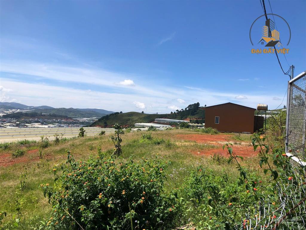 Đất view toàn cảnh thị trấn lạc dương, cơ hội sở hữu quỹ đất đẹp giá tốt
