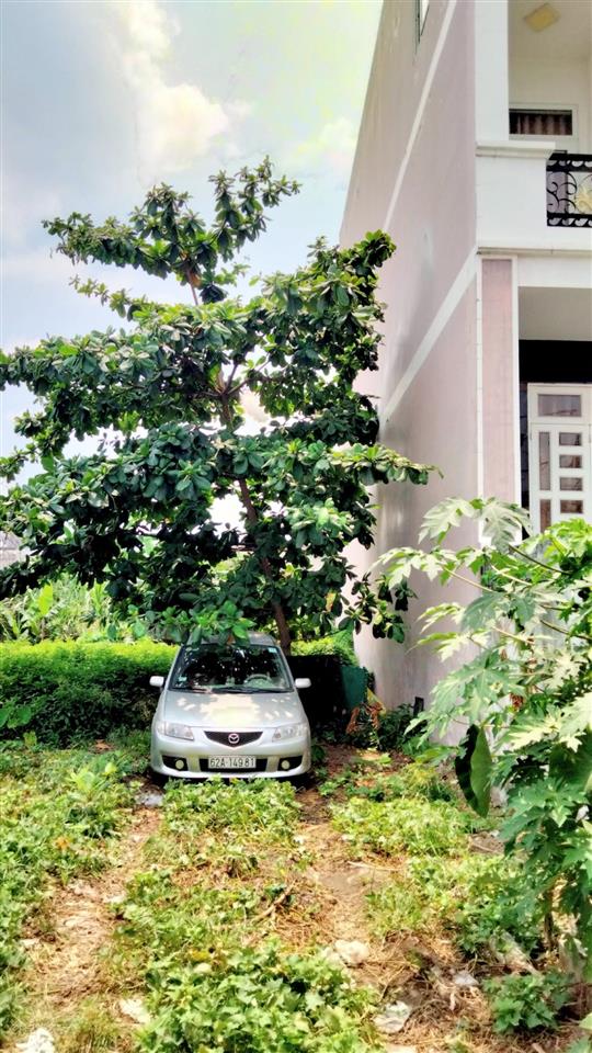Lô đất đẹp hẻm thông 65m2  hẻm xe hơi 5m, hiệp bình phước, thủ đức 4.45 tỷ