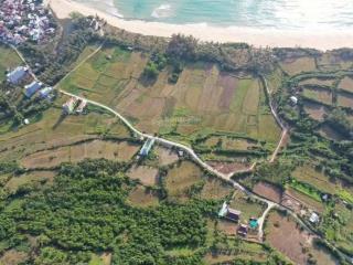 Bán đất 1000m2 quy hoạch thổ cư view biển gành đá đĩa, tuy an  phú yên ( nay là đông đắk lắk