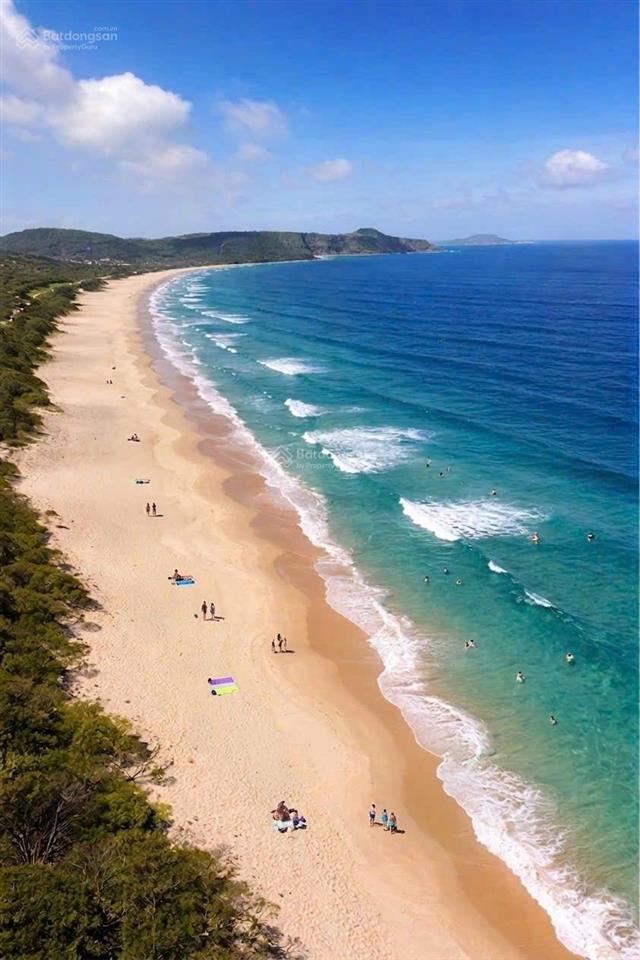 Bán gấp khách sạn 5 tầng palm beach  tuy an  phú yên  giá bán nhanh hạ chỉ còn 65tỉ  1700m2