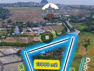 Chào bán nguyên cơ sở vườn dừa 13.000m2 đã đầy đủ cơ sở hạ tầng nhà, hệ thống điện, tưới tiêu