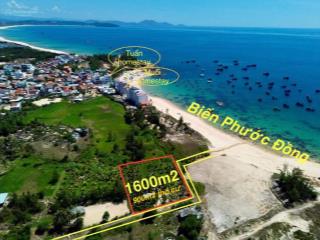 Lô đất sổ sẵn 1600m² có 900m² thổ cư, view biển phước đồng (cù lao mái nhà) tuy an, phú yên