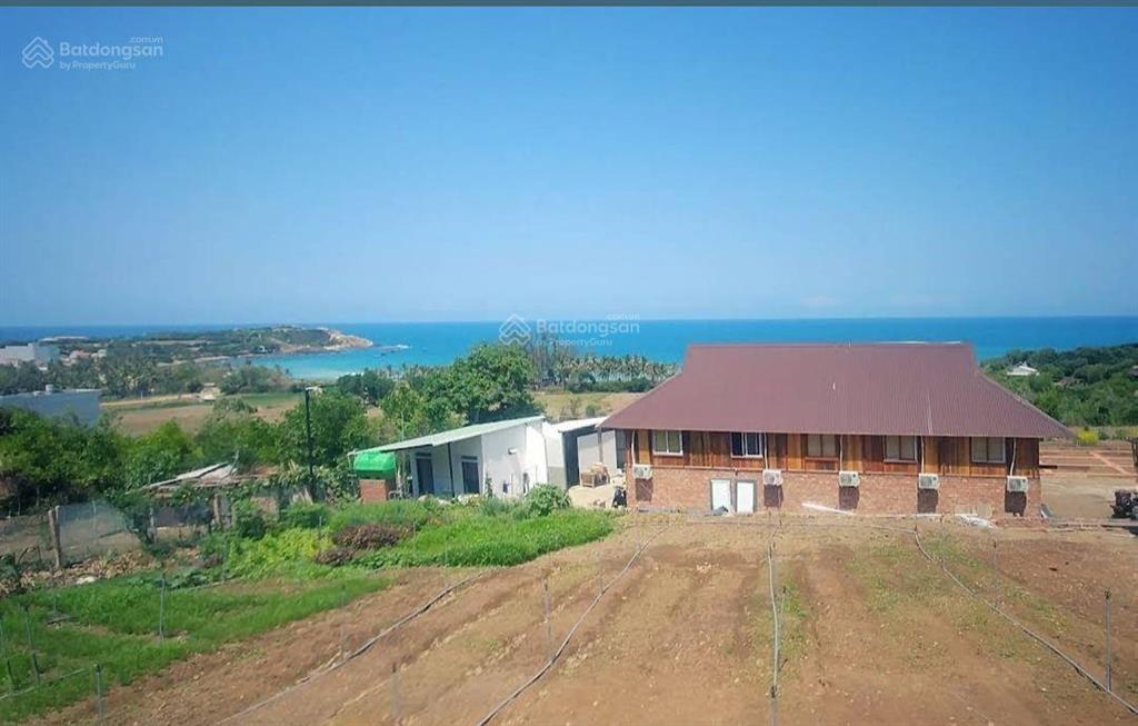 Bán lô đất 2000m2 sổ sẵn full đất ở  view biển gành đá đĩa rất đẹp  đường oto  giá 12tr/m2
