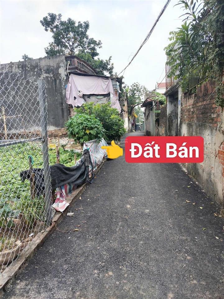 Bán đất phụng thượng  phúc thọ  hà nội  40,5m2