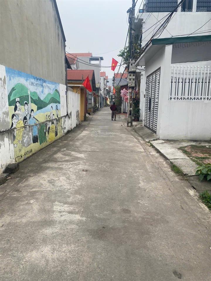 Bán đất ích vịnh  phương đình  đan phượng  63,1m²