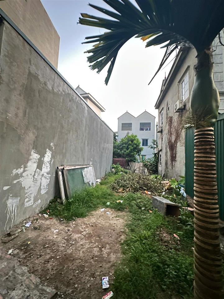 Bán đất di trạch, hoài đức, 53,6m2