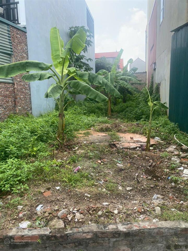Bán đất hiệp thuận, phúc thọ, hà nội  70m2  giá hời khu vực
