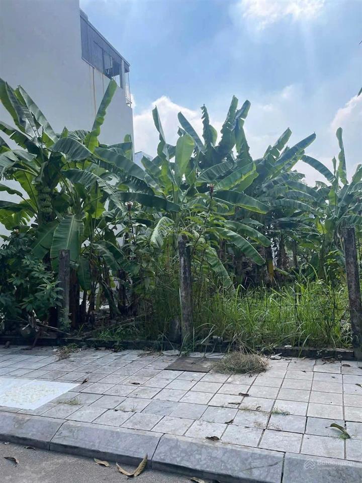 Bán đất phân lô trạm trôi  hoài đức  hà nội  59,7m2