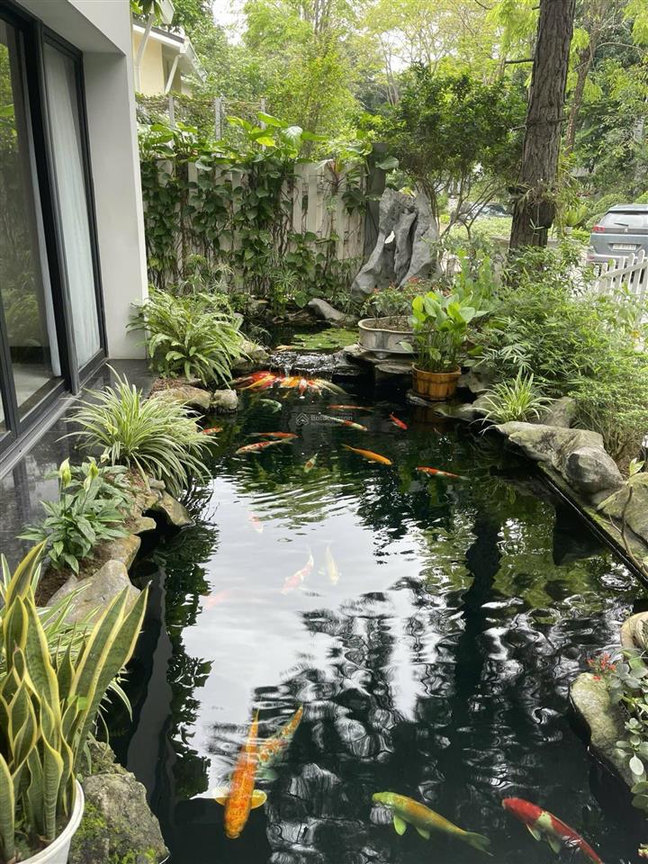 Biệt thự đơn lập vườn mai ecopark | 380m2 | full nội thất đẹp | giá tốt thị trường
