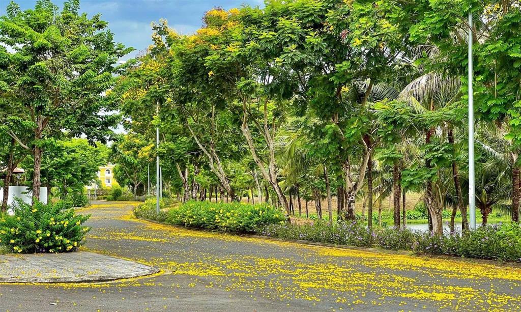 Đất nền fpt  phân khu trung tâm  cạnh trường fpt  chỉ 5,6 tỷ/96,6m2