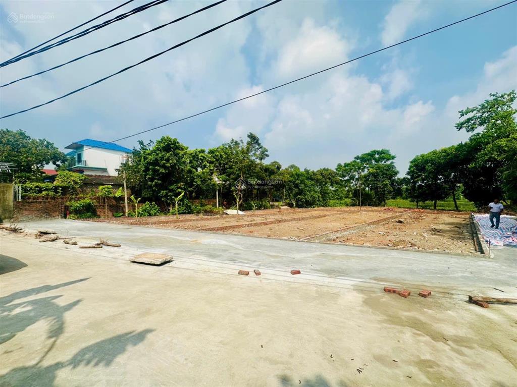 Cần bán lô đất fo 100m2 full thổ cư tại thôn ninh cầm xã tân dân cũ.