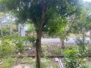 Cho thuê căn hộ chung cư đi học, đi làm, dạy thêm tại khu tập thể ngân hàng, phường 7, bến tre
