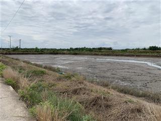 Đất mặt tiền đường lý nhơn, xã an thới đông, 2,5 héc