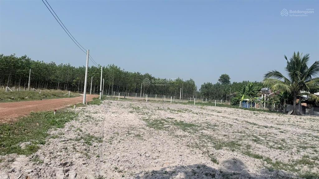 Bán đất tại nhánh huyện, xã minh thạnh, huyện dầu tiếng, 276m2, giá thỏa thuận