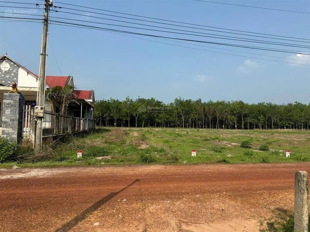 Bán đất 1400m2 có 700m2 thổ cư tại xã minh tân, huyện dầu tiếng, bình dương, giá 1,4 tỷ vnd