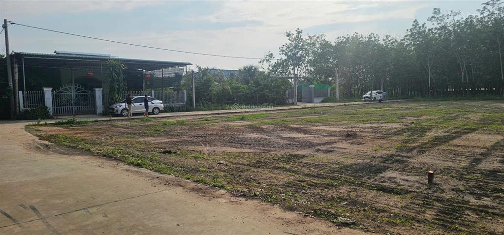 Bán nhanh trong tuần đất tại nhánh đt 756, đồng nơ, hớn quản, 430 triệu, 250 m2