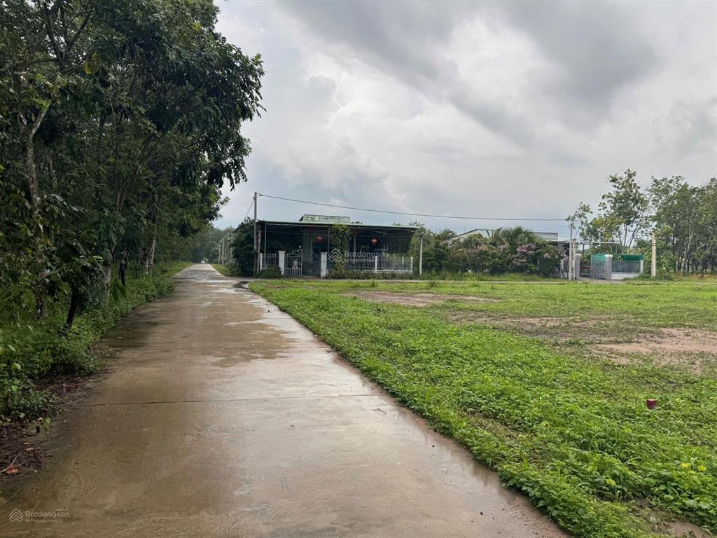 Bán nhanh trong tuần đất tại nhánh đt 756, đồng nơ, hớn quản, 430 triệu, 250 m2