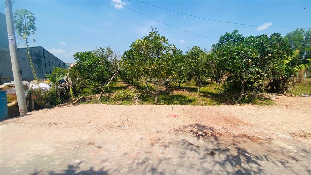 Đất thổ cư ngay kcn phước đông, đường nhựa 5x38 giá chỉ 1 tỷ 150 triệu