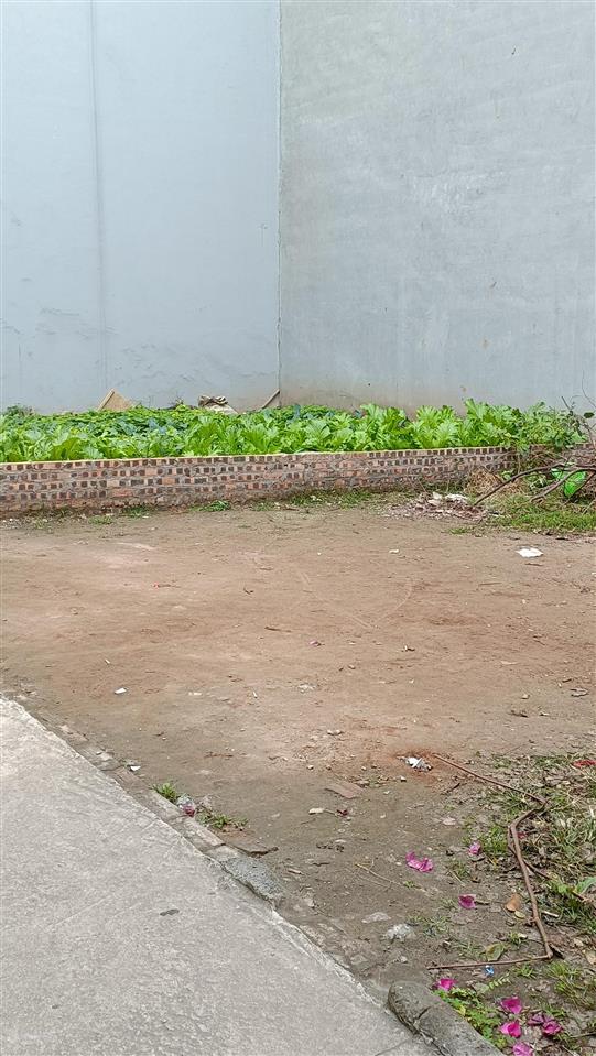 Mảnh đất vàng còn sót lại trung tâm long biênngõ oto thông giá dành cho khách đầu tư sinh lời