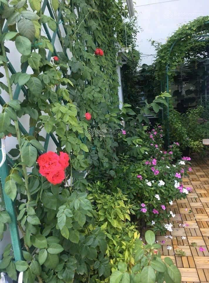 Bán penthouse cc 3pn 3wc, 270m2 tại phú hoàng anh, nhà bè, 8,3 tỷ gấp