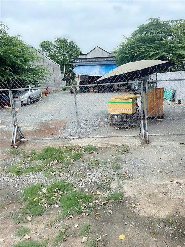 Mt tỉnh lộ 8, tân thạnh tây, củ chi 936m2 thổ cư 520m2 giá 10 tỷ