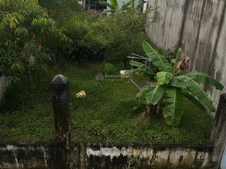 Đất hxh hồ văn tắng tân phú trung  củ chi 231m2 cách mt 100m giá 11tr/m2