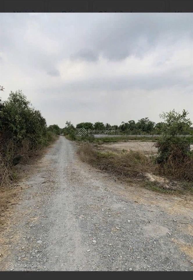 Diện tích 1.035,7m2  đất phú hòa đông củ chi ngang rộng giá chỉ 1,75 tỷ