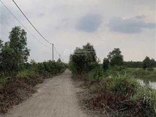 Diện tích 1.035,7m2  đất phú hòa đông củ chi ngang rộng giá chỉ 1,75 tỷ