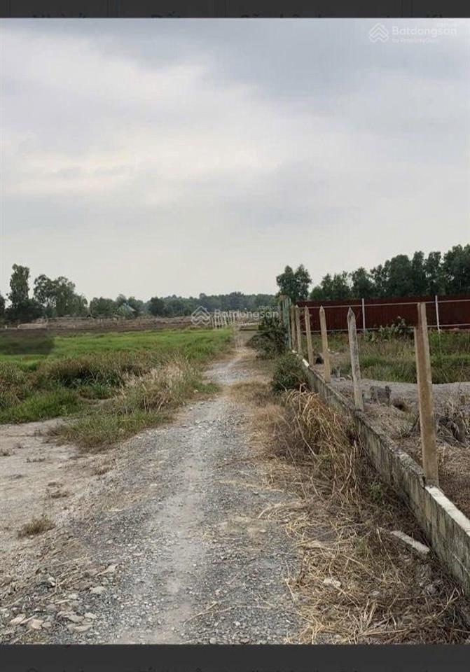 Chỉ 2tr/m2  diện tích 1140m2 đất tân thạnh tây củ chi sổ riêng  giá chỉ 2,4 tỷ