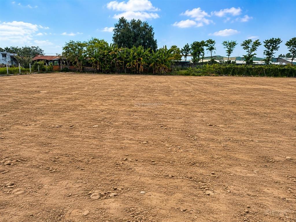 Giảm sâu lô đất vườn thái mỹ 655m2 giá chỉ 1,350 tỷ