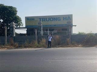 Mặt tiền tỉnh lộ 15 đường nhựa 20m 800m2 chỉ 5 tỷ x