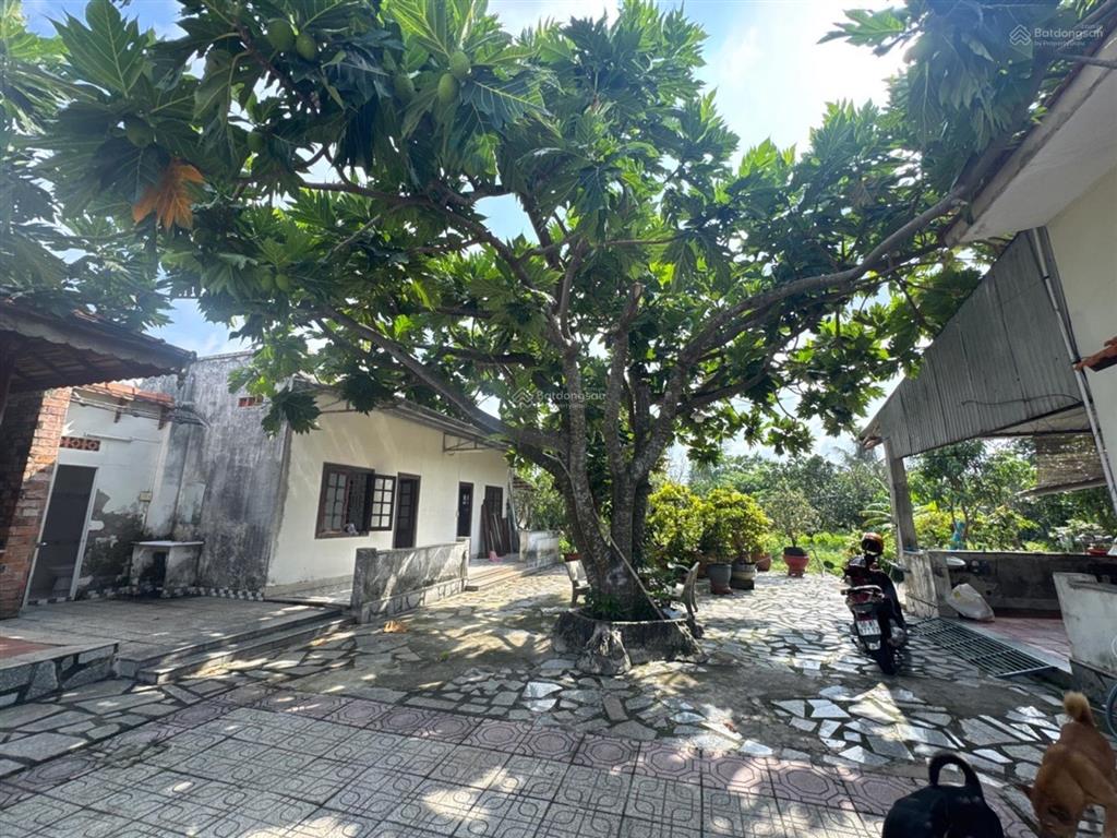 Bán đất tặng nhà vườn mt lê minh nhựt củ chi 2575m2 k.doanh đa ngànhnhỉnh 20t