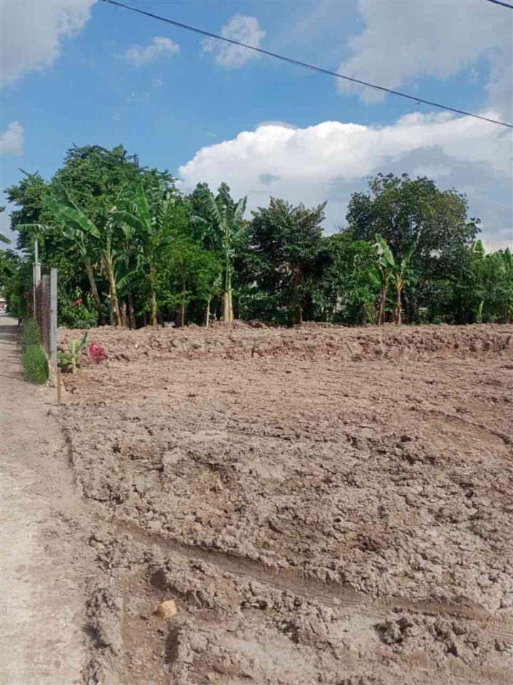 Đất xây nhà vườn bà điểm hóc môn  636m2 có thổ cư chỉ 5 tỷ 8 tl
