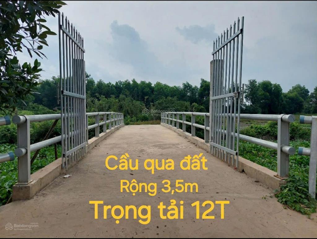 Đất mt đường đt 830 đức hòa, long an 2600m2, thích hợp nhà vườn sinh thái, kho bãi