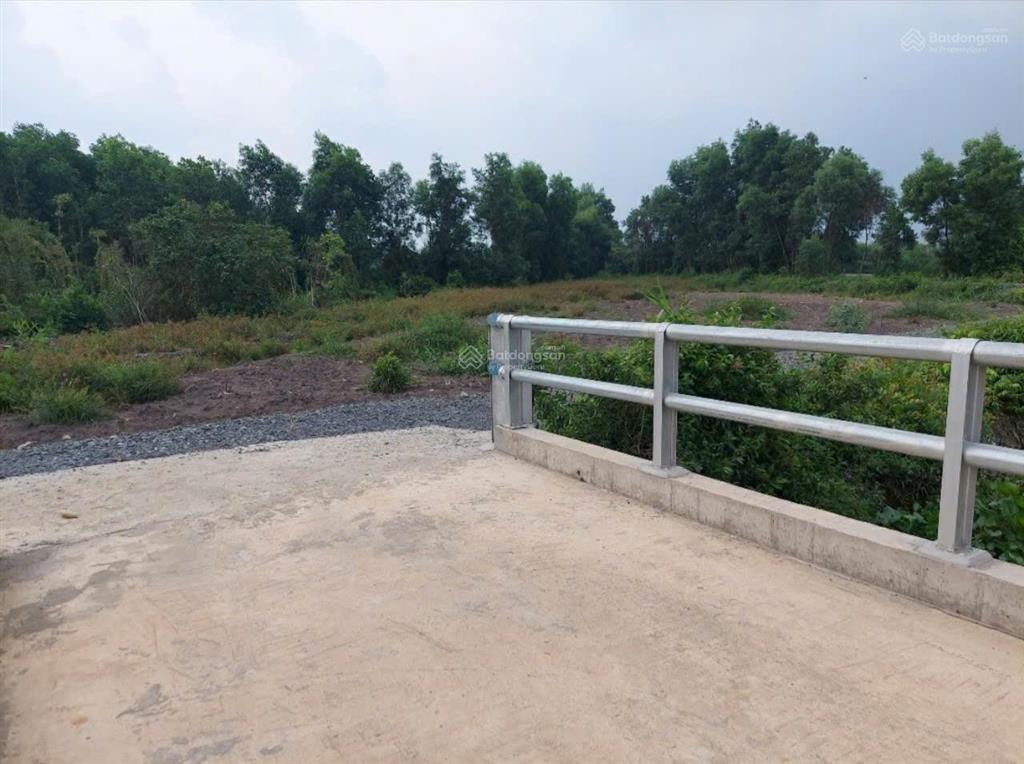 Đất mt đường đt 830 đức hòa, long an 2600m2, thích hợp nhà vườn sinh thái, kho bãi