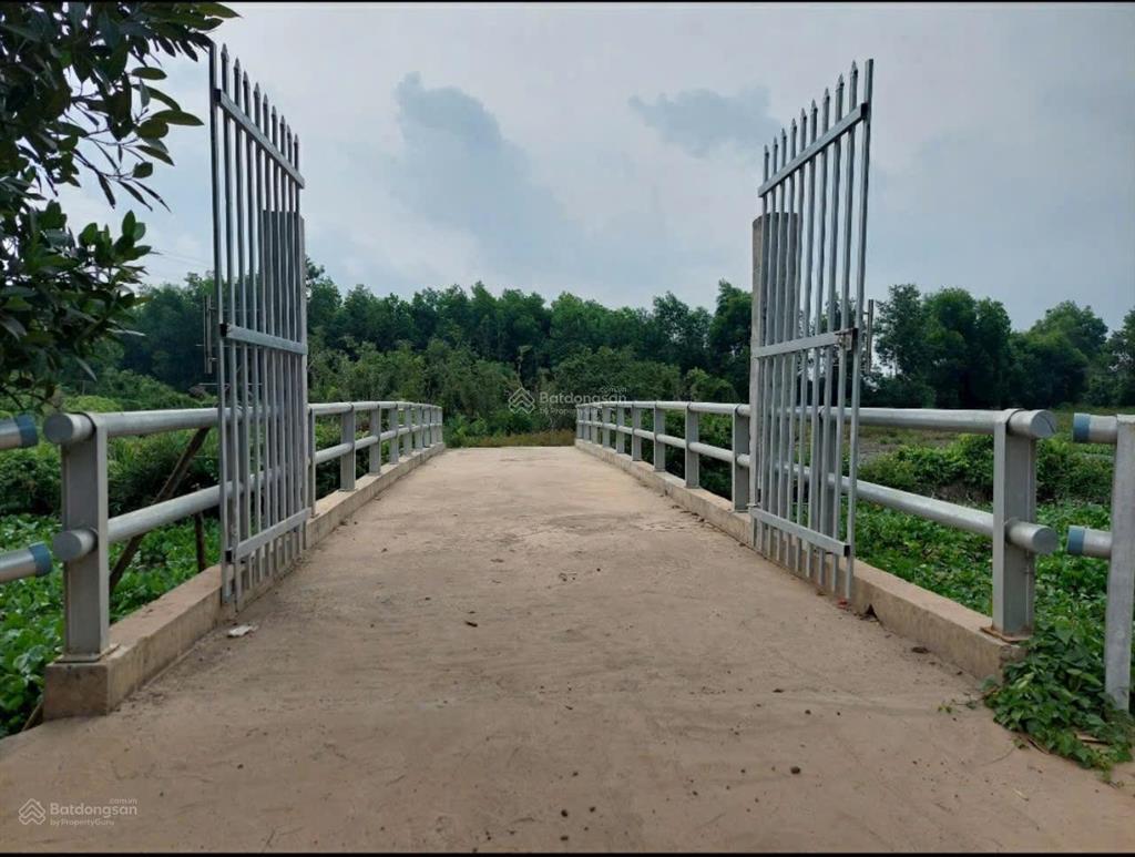 Đất mt đường đt 830 đức hòa, long an 2600m2, thích hợp nhà vườn sinh thái, kho bãi