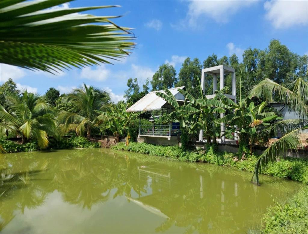 Bán đất  đã đầu tư vườn sinh thái 1,5 ha (15.000m2) đường đt 839 đức huệ, long an