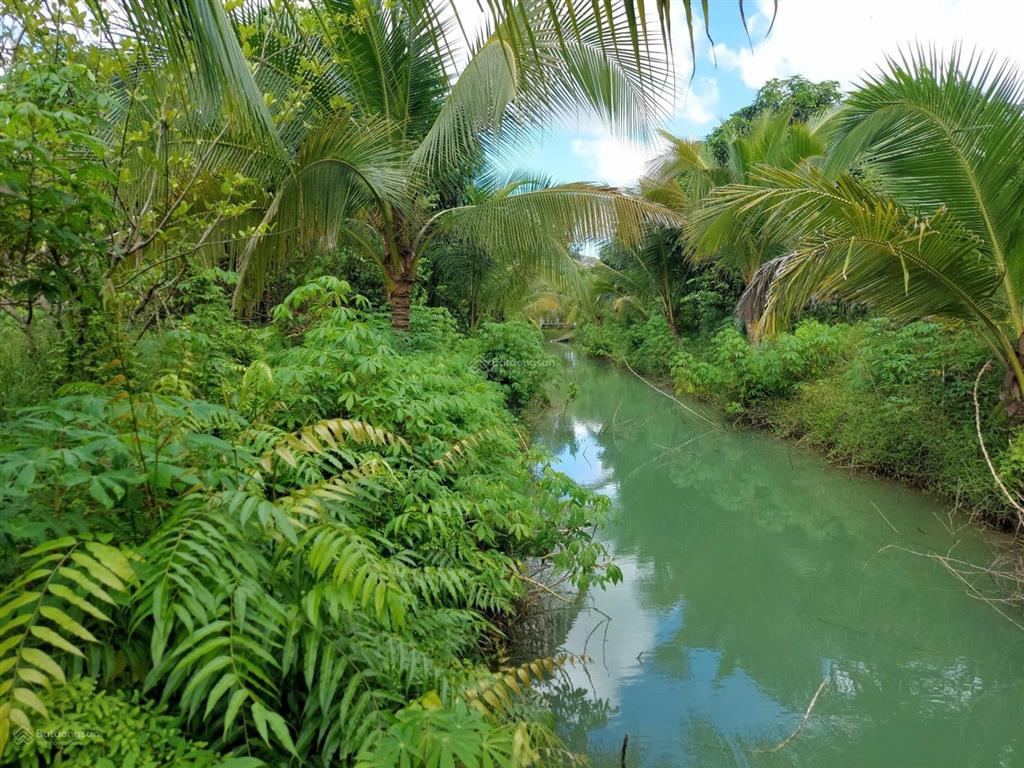 Bán đất  đã đầu tư vườn sinh thái 1,5 ha (15.000m2) đường đt 839 đức huệ, long an