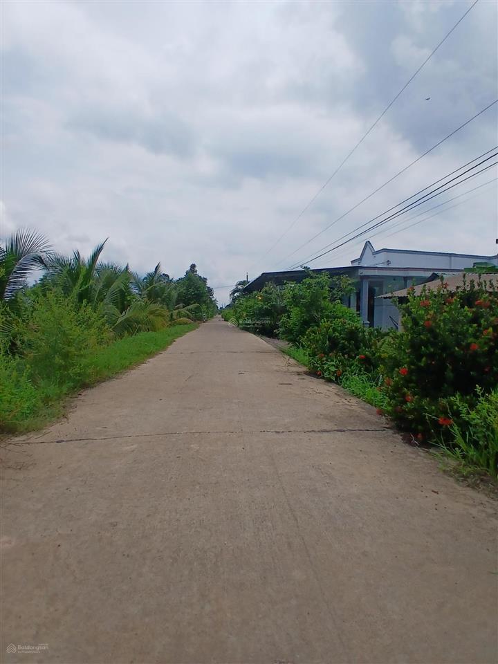Bán đất  đã đầu tư vườn sinh thái 1,5 ha (15.000m2) đường đt 839 đức huệ, long an