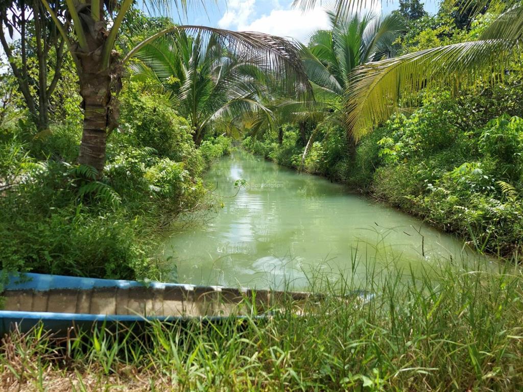 Bán đất  đã đầu tư vườn sinh thái 1,5 ha (15.000m2) đường đt 839 đức huệ, long an