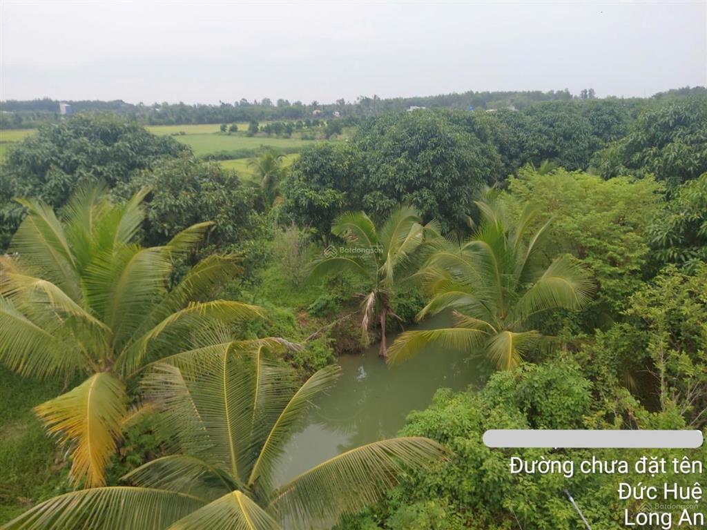 Bán đất  đã đầu tư vườn sinh thái 1,5 ha (15.000m2) đường đt 839 đức huệ, long an