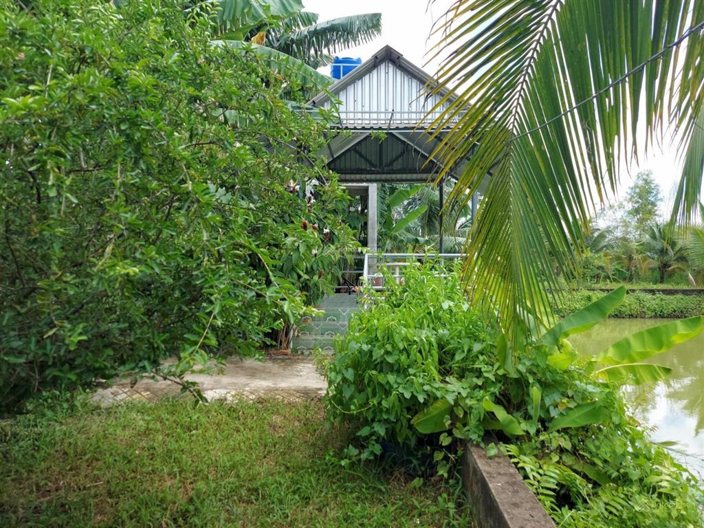 Bán đất  đã đầu tư vườn sinh thái 1,5 ha (15.000m2) đường đt 839 đức huệ, long an